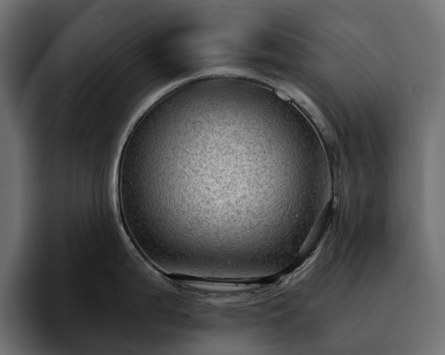 X0000095121199200712141129