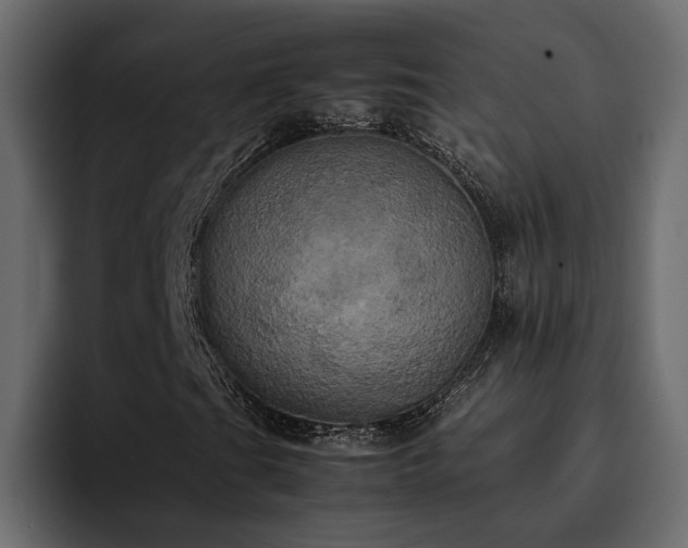 X0000095121201200712141129