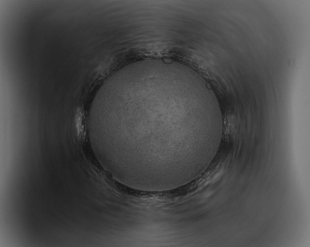 X0000095121202200712141129