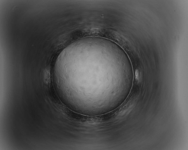 X0000095121203200712141129