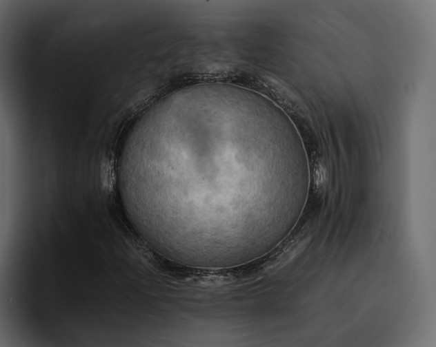 X0000095121204200712141129