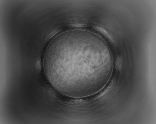 X0000095121209200712141129