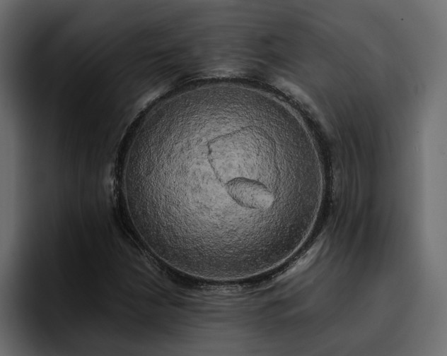 X0000095121210200712141129