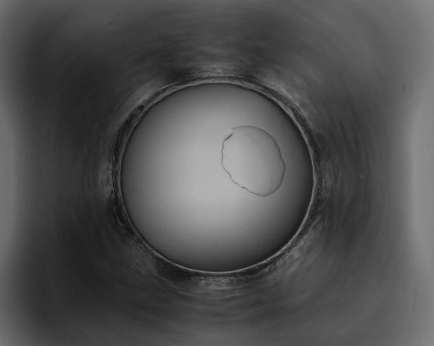 X0000095121211200712141129