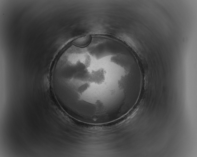 X0000095121212200712141129