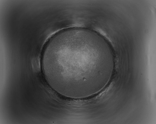 X0000095121214200712141129