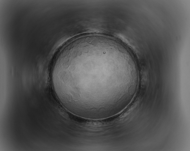 X0000095121215200712141129