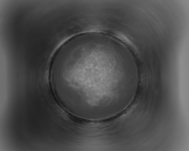 X0000095121216200712141129