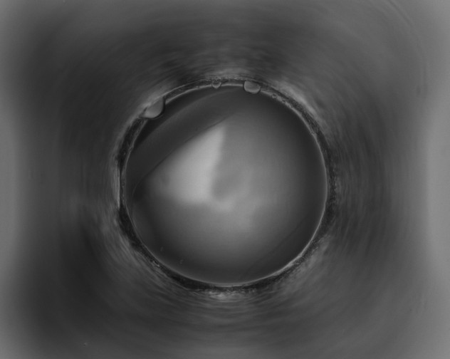 X0000095121219200712141129