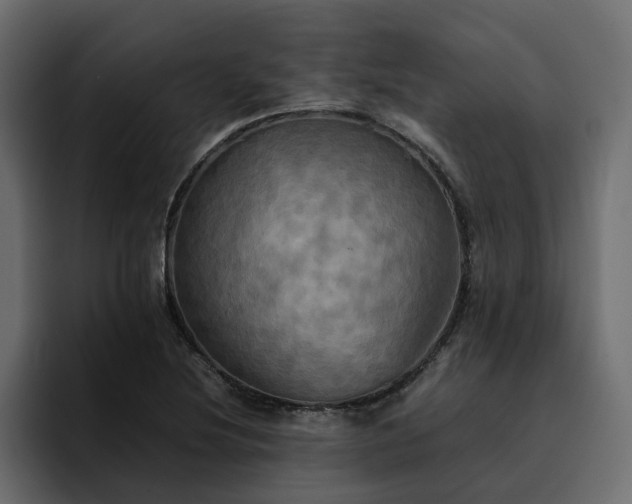 X0000095121220200712141129