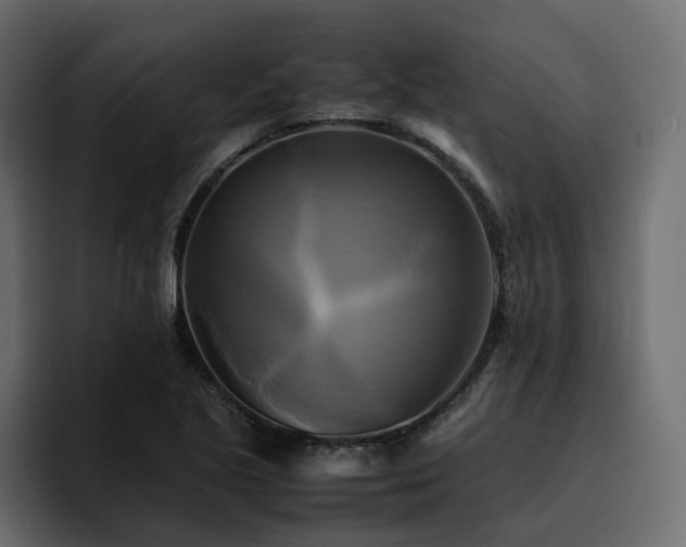 X0000095121221200712141129