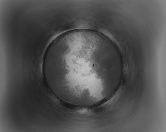 X0000095121222200712141129