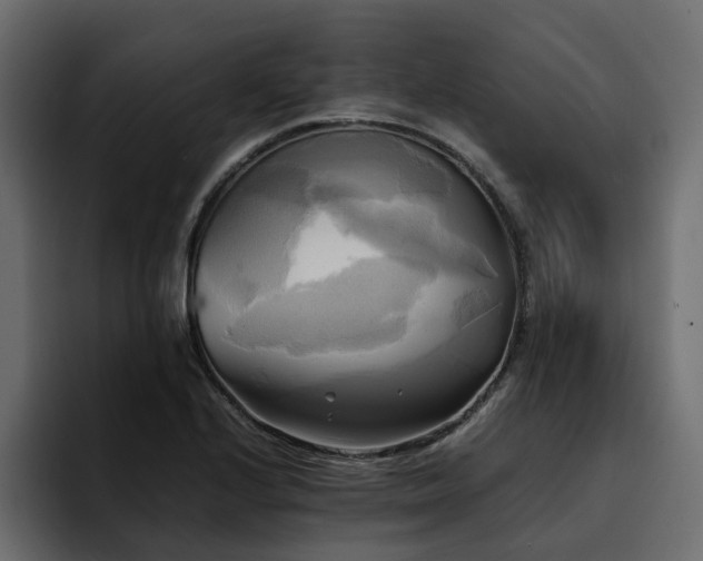 X0000095121224200712141129