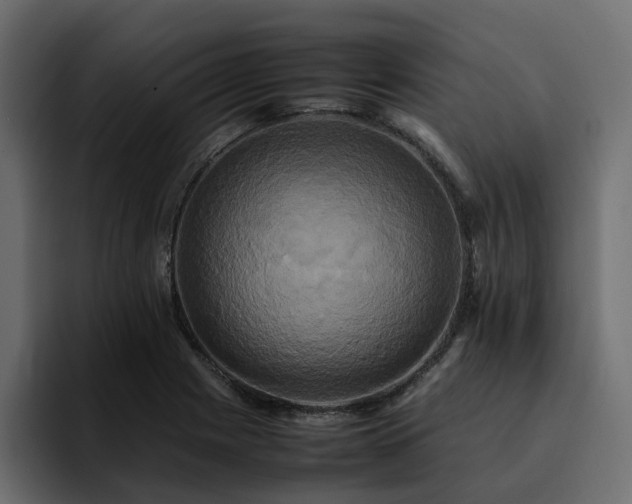 X0000095121225200712141129