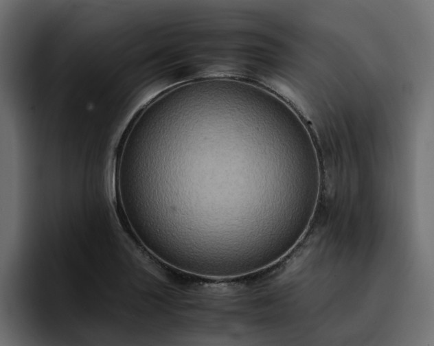 X0000095121227200712141129