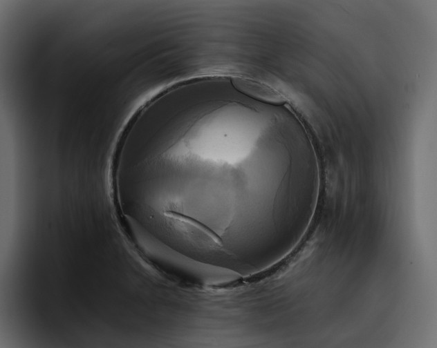 X0000095121230200712141129