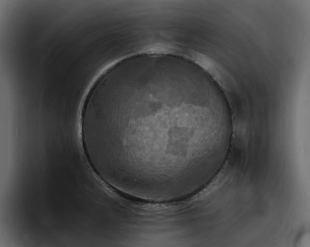 X0000095121232200712141129