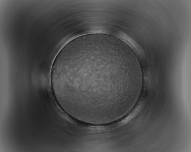 X0000095121236200712141129