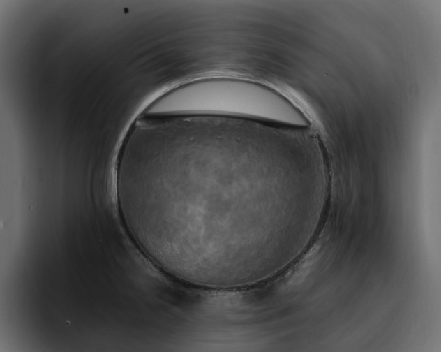 X0000095121238200712141129