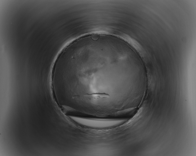 X0000095121240200712141129