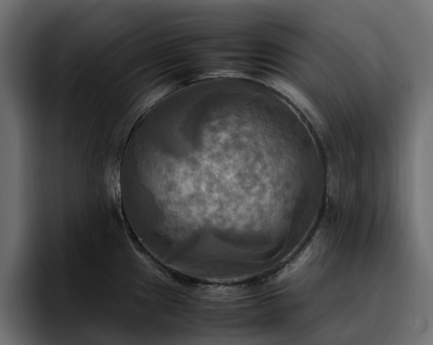 X0000095121241200712141129