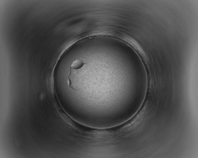 X0000095121242200712141129