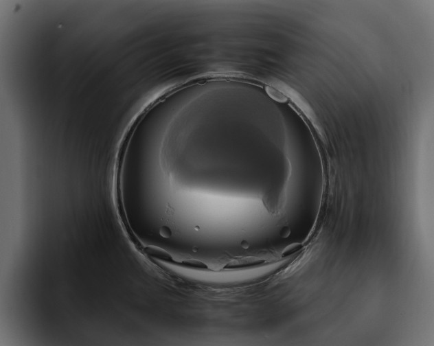 X0000095121245200712141129