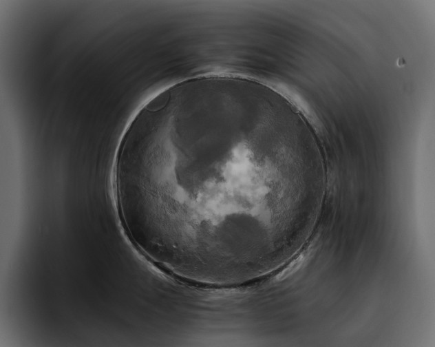 X0000095121247200712141129