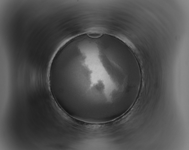 X0000095121248200712141129