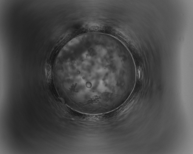 X0000095121251200712141129