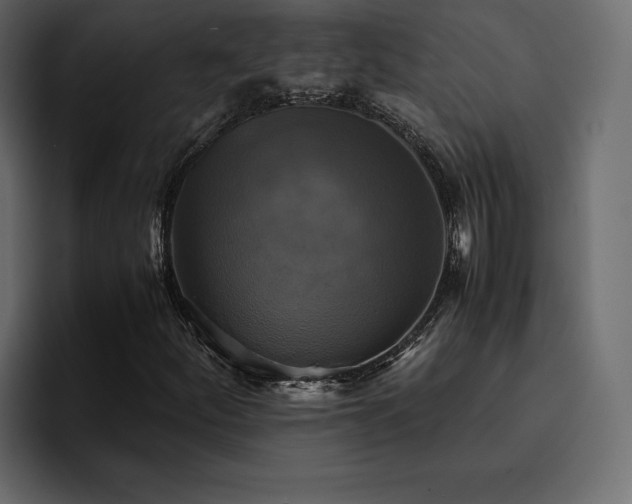 X0000095121252200712141129