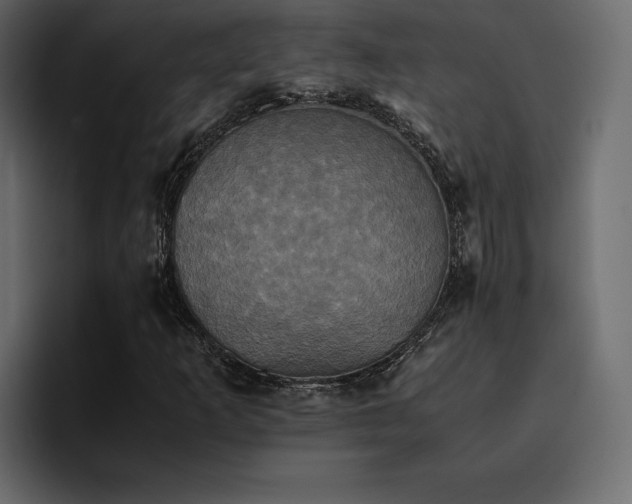 X0000095121253200712141129