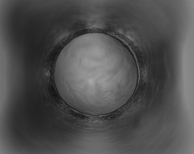 X0000095121254200712141129