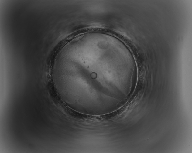 X0000095121255200712141129