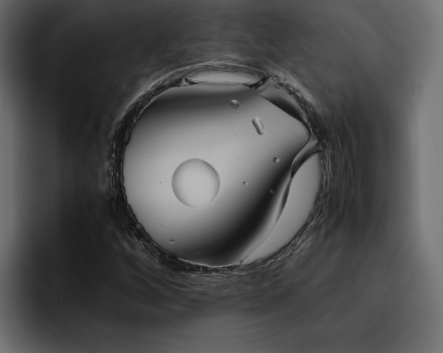 X0000095121256200712141129