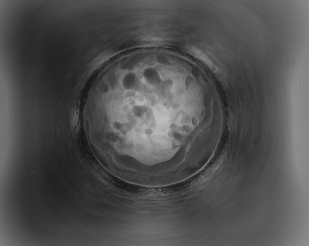 X0000095121259200712141129