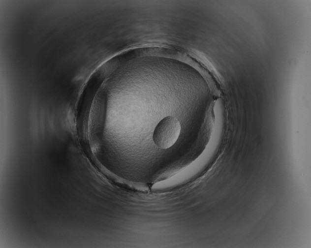 X0000095121260200712141129