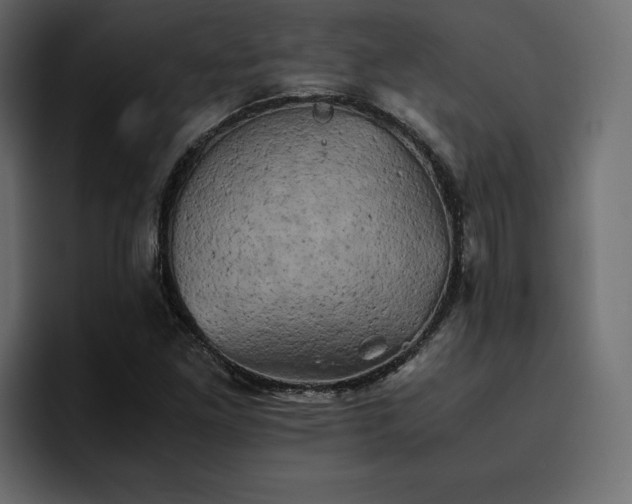 X0000095121261200712141129