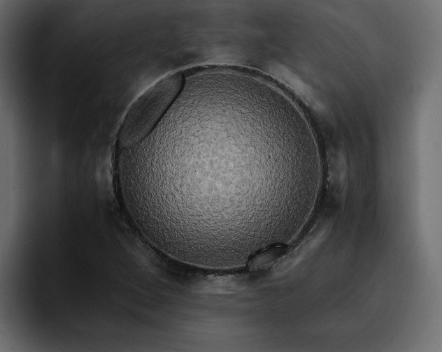 X0000095121264200712141129