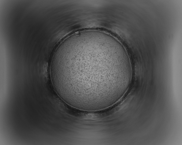 X0000095121265200712141129