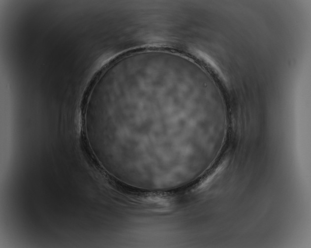 X0000095121267200712141129