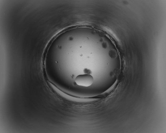 X0000095121268200712141129