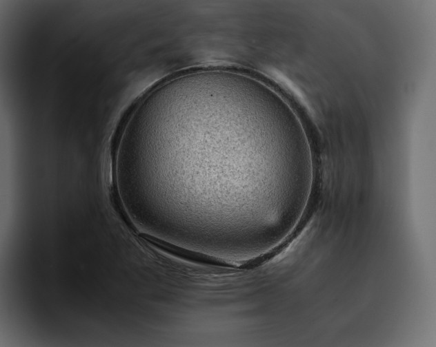 X0000095121269200712141129