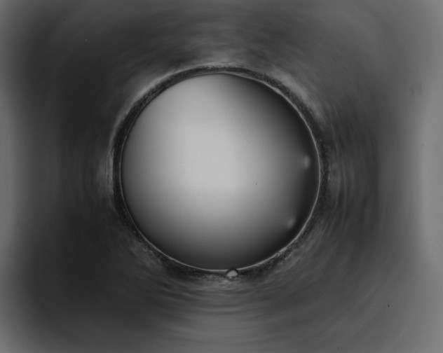 X0000095121270200712141129