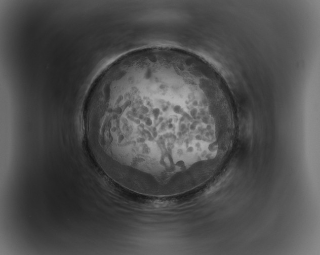 X0000095121271200712141129