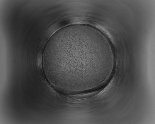 X0000095121273200712141128