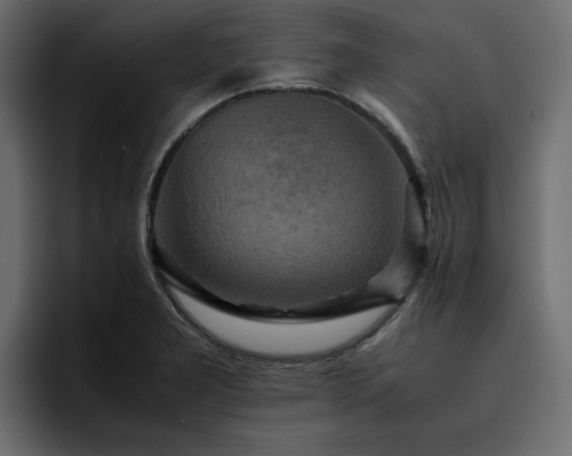 X0000095121277200712141128