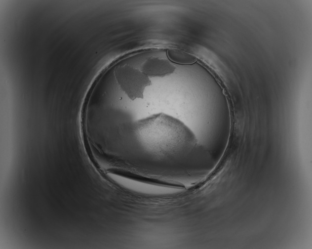 X0000095121283200712141128