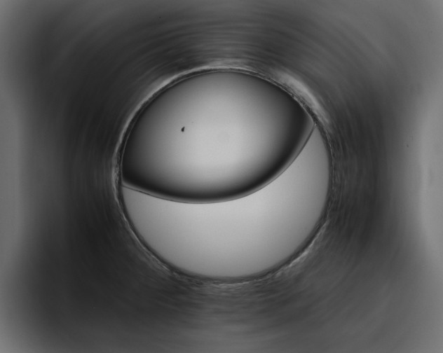 X0000095121284200712141128