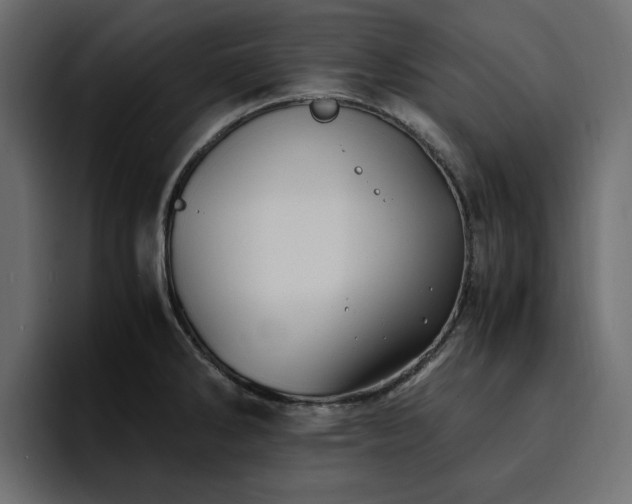 X0000095121286200712141128